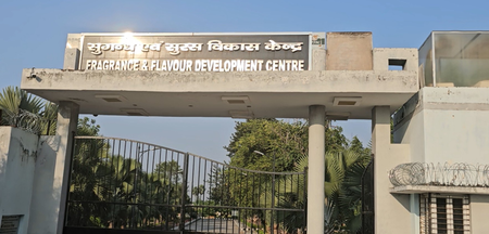 कन्नौज में गुलाब की खुशबू से महक रही किसानों की जिंदगी, सरकार की मदद से बढ़ी आमदनी कन्नौज में गुलाब की खुशबू से महक रही किसानों की जिंदगी, सरकार की मदद से बढ़ी आमदनी
