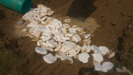 गाजियाबाद : साहिबाबाद मंडी में 650 किलो मिलावटी पनीर नष्ट, नमूने लेकर भेजा गया प्रयोगशाला