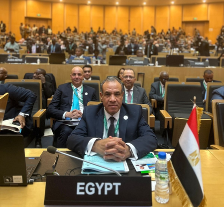 Countries ignored our warning about Muslim Brotherhood, played with fire: Egyptian FM Abdelatty Countries ignored our warning about Muslim Brotherhood, played with fire: Egyptian FM Abdelatty