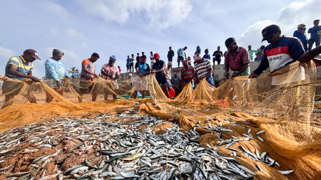 India-UK trade deal to increase seafood exports: MPEDA