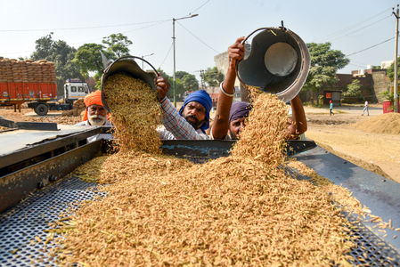 तमिलनाडु में धान की नमी की जांच के लिए केंद्र ने नियुक्त किए विशेषज्ञ दल तमिलनाडु में धान की नमी की जांच के लिए केंद्र ने नियुक्त किए विशेषज्ञ दल