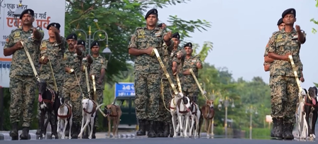 'Mann Ki Baat': PM Modi hails BSF, CRPF for increasing Indian breed dogs in their contingents