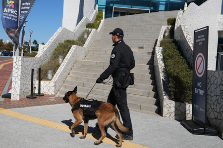South Korea: World leaders, delegates begin arriving in Gyeongju ahead of APEC summit South Korea: World leaders, delegates begin arriving in Gyeongju ahead of APEC summit