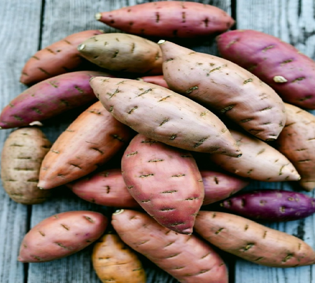 गुणों का खजाना है शकरकंद, सेवन से शरीर रहेगा स्वस्थ गुणों का खजाना है शकरकंद, सेवन से शरीर रहेगा स्वस्थ