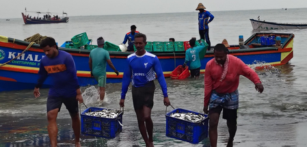 Nationwide marine fisheries census to begin on Friday