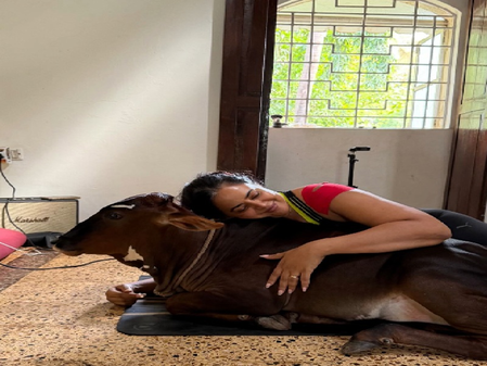 समीरा रेड्डी को मिली उनकी बेस्टी, गाय की बच्ची के साथ होती है दिन की शुरुआत समीरा रेड्डी को मिली उनकी बेस्टी, गाय की बच्ची के साथ होती है दिन की शुरुआत