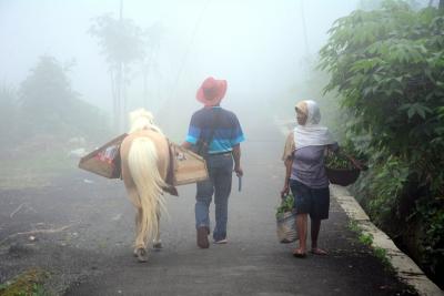 Japan reports first outbreak of equine influenza since 2008 Japan reports first outbreak of equine influenza since 2008