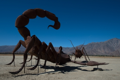 Black scorpion sting injects 25 distinct deadly toxins: IASST study