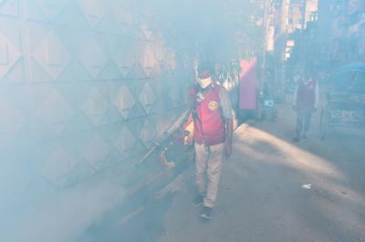 Bangladesh: Four more people die of dengue, 2025 death toll crosses 270