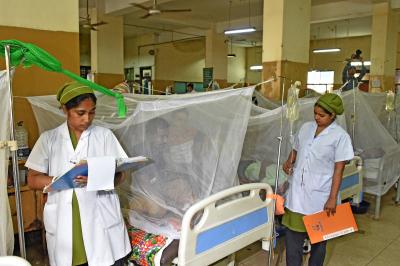 Bangladesh: Two more people die of dengue, death toll rises to 86 in 2025