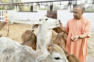 सीएम योगी के नेतृत्व में 8 साल में प्रदेश ने विकास की नई लकीर खींची, गोसेवा से बन रहे आत्मनिर्भर