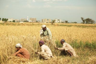 Pakistan Kissan Ittehad criticises filing of FIRs against protesting farmers in Balochistan's Nasirabad Pakistan Kissan Ittehad criticises filing of FIRs against protesting farmers in Balochistan's Nasirabad