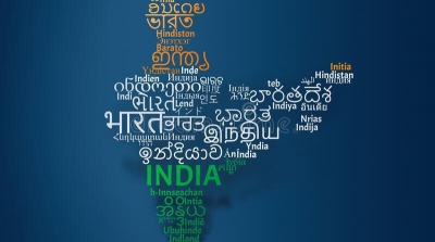 Rs 308 crore allocated for promotion of Indian languages in 2024-25: Pradhan