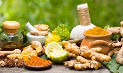Kerala setting up Rs 400 crore international Ayurveda research centre in Kannur: Veena George